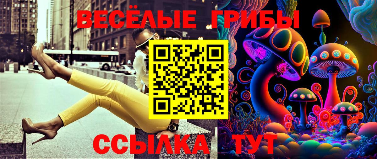 Партизанск  Галлюциногенные грибы ЛСД  Галлюциногенные грибы Psilocybe  Вход с VPN 